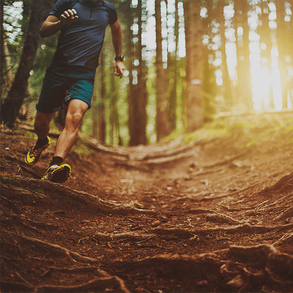 A foto do produto não está em lugar nenhum. Vamos buscá-la!